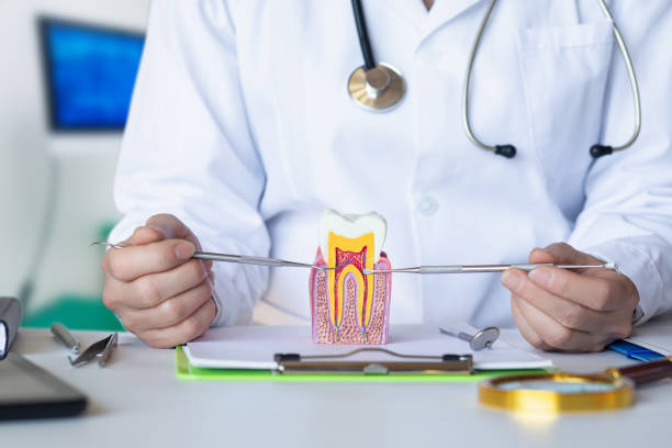 Best Emergency Dentist for Lost Fillings or Crowns in Perryman, MD